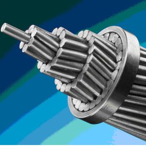 Overhead Transmission Bare BS215 ACSR Moose Conductor