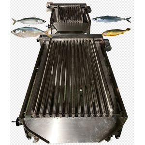Four Styles Automatic Pelagic Fish Classifying Line And Sorting Small Fish Line