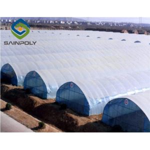 275g/m2 100m Plastic Gutter Single Span Greenhouse