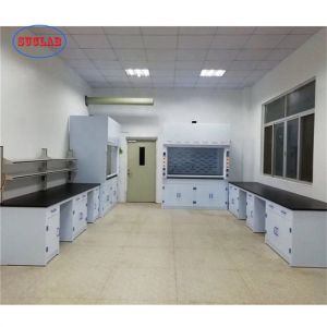 Customizable PP Laboratory Furnitures for Enhanced Functionality