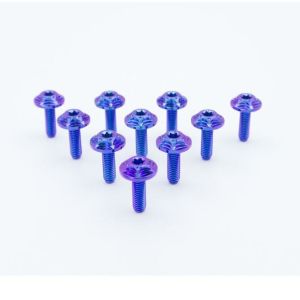 Blue Purple Gradient Tc4 Motorcycle Titanium Alloy Screws ANSI ASME Standard