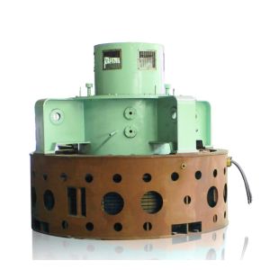 Customized Durability Kaplan Turbine Generator with Steel and Stainless Steel
