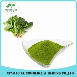 Vagetable P.E. Spinach Powder / BoBcai Powder without Additive