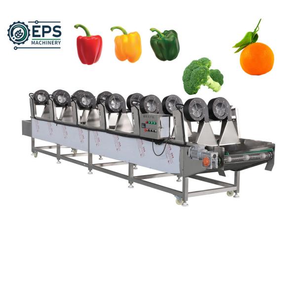 After-sales Service Online Support Industrial Automatic Fruit Washing and Drying