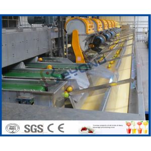 CE Citrus Processing Equipment , Orange Juice Plant With Fruit Processing