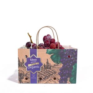 OEM ODM Fruit Paper Bags Sustainable Recyclable With Handle