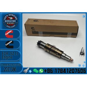 Common rail injector fuel injecto 2894920PX 2058444 2482244 2031386 for ISZ13
