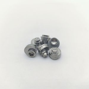 Torx Eccentric Screws M8-M10 Stainless Steel 5mm Shank
