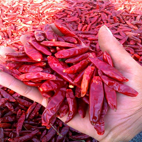 Quality 4-7cm Crushed Chilli Peppers Bold Spice In Convenient 25kg/Ctn wholesale