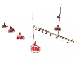 Quality Raising Chicken Feeding Line Steel PP Poultry Pan Feeding System wholesale