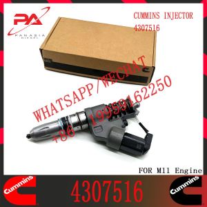 China Diesel Engine Fuel Injector 4307547 4928171 3411753 4903319 4902921 3037772 4307516 For QSM11 ISM11 M11 on sale