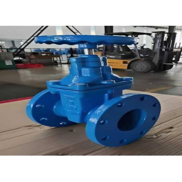 1/2 Inch Bolted Bonnet Steel Valves for Gate Valve Port Size DN10-DN50 and Class