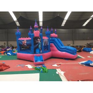 Attractive Bounce House Wet Or Dry Combo / High Durability Frozen Blow Up Castle