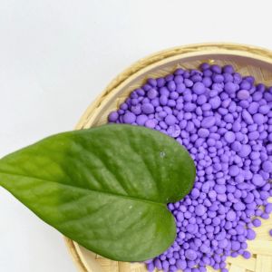 China Balanced Efficient Water Soluble Compound Fertilizer Npk 15 5 25 Quick Release Type on sale