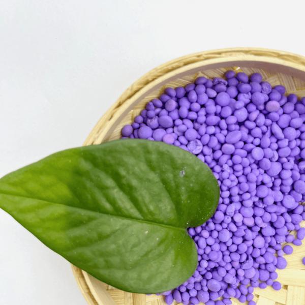 Balanced Efficient Water Soluble Compound Fertilizer Npk 15 5 25 Quick Release