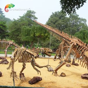 Sunproof Resin Dinosaur Skeleton Gasosaurus Skull