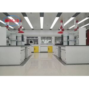 Floor Mounted Structure Steel Made Laboratory Workstation For Instrument Rooms