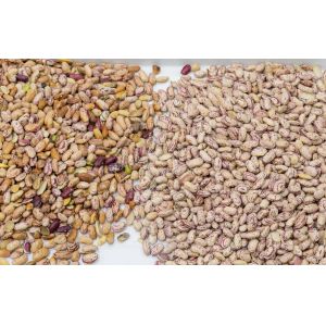 2.3kw 4 Chutes Optical Coffee Sorting Machine Longer Lifetime