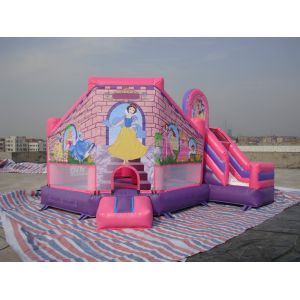 PVC Tarpaulin Inflatable Amusement Park