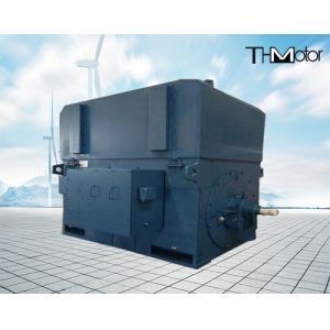 Y630-12 3 Phase Asynchronous Squirrel Cage Induction Motor 710kw 496rpm