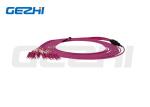 MPO 8 Core OM4 Multimode Patch Cable Series MPO LC Patch Cord Pigtail