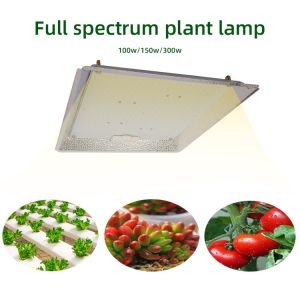 Greenhouse Dimmable Quantum Board Grow Light For Grow Tent