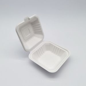 6 Inch Biodegradable Take Out Containers , White Biodegradable Clamshell