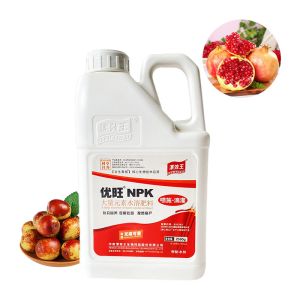 Slow Release NPK Water Soluble Fertilizer Plant Growth Regulation