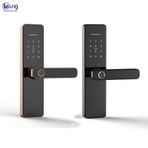 QLEUNG Tuya Wifi TTlock App Digital Locks Advanced Fingerprint Door Lock with