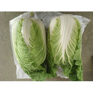 Cheap Organic Green Flat Head Cabbage With Japan Standard HACCP&amp;GAP Standard for sale