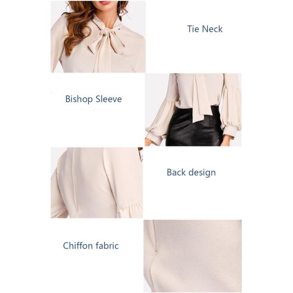 Tie Neck Balloon Sleeve Elegant Ladies Blouse