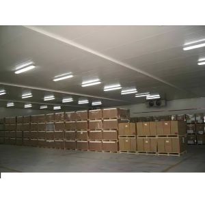 Cheap Automatic Defrosting Industrial Cold Room Equipment For Any Size Steel Plate Cold Storage for sale