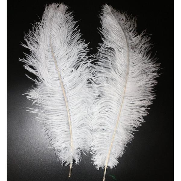 Hat Decoration Millinery Feather Small Ostrich Plumes Feather for Events