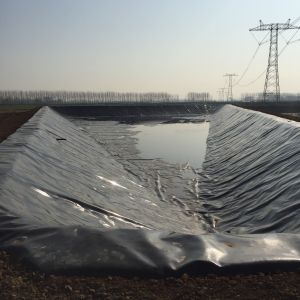 Chinese Geomembrane Impermeable Fish Pond Shrimp Pond Cistern Waterproof