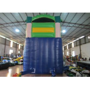 Hot sale inflatable whale palm trees single dry slide with arch commercial