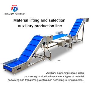 Material lifting and selection auxiliary production line Orange Vegetable Leaves