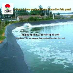 Waterproof Liners Direct Supply 0.2-1.0mm HDPE Geomembrane Pond Liner for