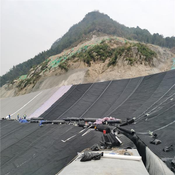 Store Sales Promotion HDPE Geomembrane Liner for Plastic Protection Requirements