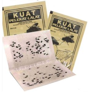 Glue Application Machine Makes Soft Mouse Glue Board Fly Sticky Traps For Plants