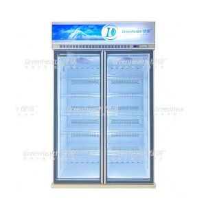 Frequency Conversion Commercial Glass Display Freezer With LED Light