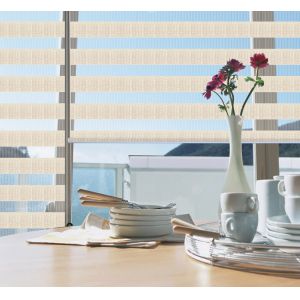 2020 High Quality Indoor Home Decoration zebra blind for sliding door Customized