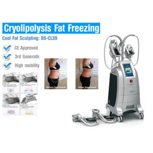 Fat Freeze Cooling Cryolipolysis Body Slimming Machine Supersonic Operation