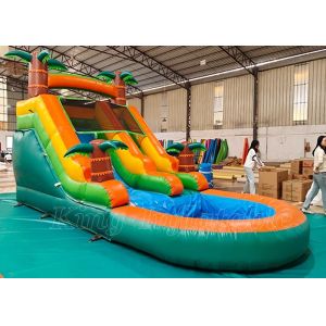 Cheap Kids Outdoor Yard Water Slides Tropical Jungles Inflatable Water Slide With Pool for sale