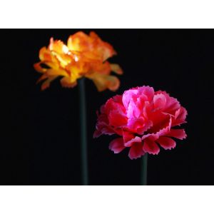 LED Simulation Carnation Lights Park Lawn, Beautiful Display, Decorative