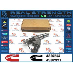 China Original Diesel Fuel Injector 4307547 3411756PX 3411756RX 3411756 for Cummins Engine ISM QSM M11 on sale