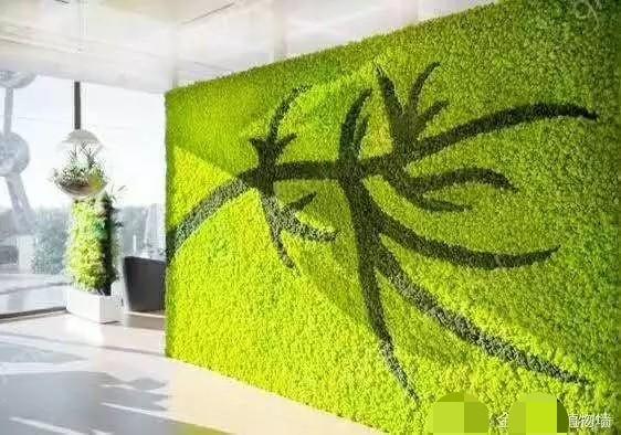 Soft Touch Preserved Moss Real Fresh Moss For Wall Decoration