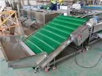 walnut sorting machine, walnut grading machine, walnut grader, walnut sorter