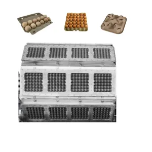 Fast Fully Automatic 4000pcs/h Egg Tray Making Machine Paper Egg Tray Production