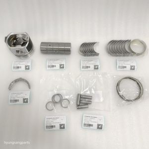 Hyunsang Engine Repair Kits Liner Compatible With 6685981 V2203 Engine