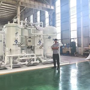 Minimal Supervision Required Nitrogen Gas Air Separation Plant For Infusion